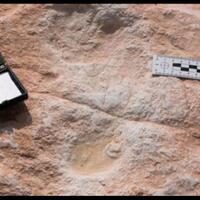 temuan-mengejutkan-jejak-kaki-manusia-ratusan-ribu-tahun-silam-di-saudi