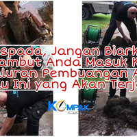 waspada-jangan-biarkan-rambut-rontok-dalam-saluran-pembuangan-atau-ini-akan-terjadi