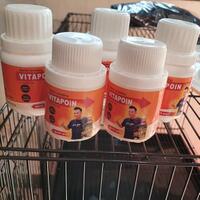 vitapoin