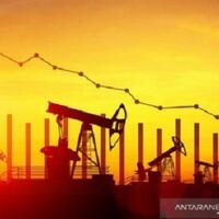 harga-minyak-mentah-dunia-turun-dipengaruhi-produksi-minyak-libya
