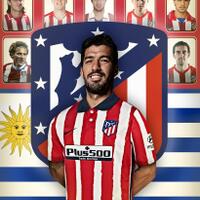 kasus-kecurangan-luis-suarez-dalam-ujian-bahasa-italia-berbuntut-panjang