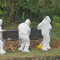 update-corona-25-september-113-kasus-meninggal-jatim-tertinggi