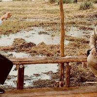 prabowo-subianto-tanam-singkong-menhan-apa-mentan-sih