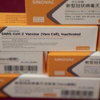 media-china-hapus-berita-who-restui-vaksin-covid-19