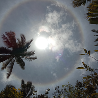 fenomena-alam-langka-terjadi-di-bumi-arema-halo-matahari-minggu-27-september-2020