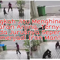 tak-takut-dikejar-anjing-pria-ini-keluarkan-jurus-misterius-seperti-jadi-iron-man