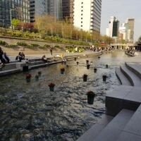 yuk-intip-keindahan-sungai-cheonggyecheon-di-kota-seoul