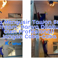 cara-mengusir-tawon-super-ekstream-hanya-dilakukan-oleh-profesional-jangan-dicoba