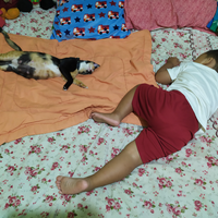 cat-lovers-kaskus-read-page-1-first---part-5