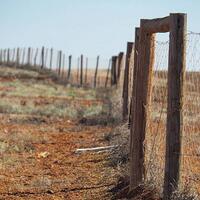 dingo-fence-pagar-terpanjang-di-dunia-panjangnya-4-kali-pulau-jawa-loh