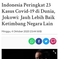 7-bulan-covid-19-di-indonesia-who-tes-pcr-rendah-kematian-tinggi