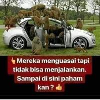 kondisi-pemerintahan-saat-ini