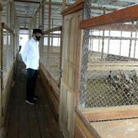 masa-pandemi-covid-19-wapres-ma-ruf-harap-guru-dibekali-keterampilan-digital