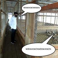 banjir-dan-longsor-di-ciganjur-jaksel-100-orang-mengungsi