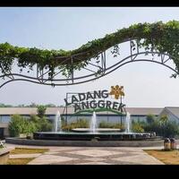 coc-regmojokerto-ladang-anggrek-taman-anggrek-yang-viral-di-mojokerto