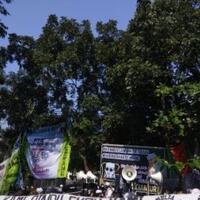 pencinta-bahar-bin-smith-minta-jokowi-mundur-jika-tak-patuhi-putusan-ptun