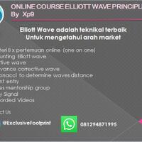 training-elliot-wave