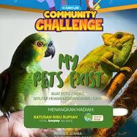 community-challenge-edisi-pets-part-2-ikutan-lagi-dong