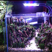 aquascape-for-everyone-learning-and-sharing---part-4