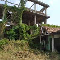 post-image