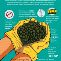 luar-biasa-harga-nikel-to-the-moon-indonesia-kini-revolusi-energi-bung