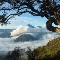 coc-reg-bromo-kalau-ke-bromo-jangan-lewatkan-3-tempat-berikut