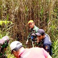 prajurit-tni-temukan-gubuk-di-sarang-opm-ternyata-ladang-ganja