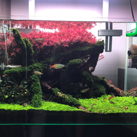 aquascape-for-everyone-learning-and-sharing---part-4