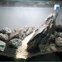 aquascape-for-everyone-learning-and-sharing---part-4