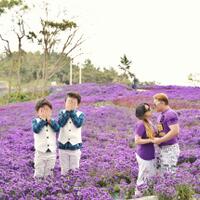 purple-island-wisata-terbaru-di-korea-selatan