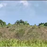 coc-reg-kalteng-misteri-kota-gaib-kalap-gadur-di-kalimantan-tengah