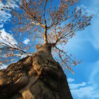 puisi-cinta--patah-hati