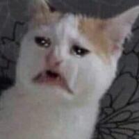 reaksi-keras-ustadz-somad-presiden-prancis-macron-orang-dungu--anaknya-orang-dungu