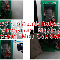 heboh-biawak-raksasa-mencengkeram-mesin-atm-netizen-quotmau-cek-saldo-yaquot