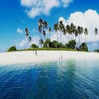 coc-reg-kaltim-ternyata-bikini-bottom-ada-di-indonesia