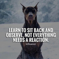 sebuah-pertanyaan-horor-yang-selalu-mengusik-hati-setiap-orang