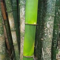 wisata-di-labuan-bajo-jangan-hanya-andalkan-komodo