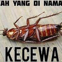 peternakan-kecoa-di-china-ini-dibuat-untuk-konsumsi-manusia