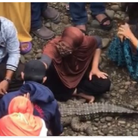 emak-emak-mengelus-buaya-diyakini-punya-saudara-kembar-manusia