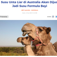 habib-rizieq-shihab-disebut-buronan-porno-oleh-media-berita-australia