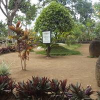 coc-reg-jember-situs-duplang-sejarah-peradaban-dan-cerita-mistis-nya