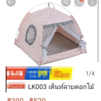 niat-berkemah-bareng-pacar-pria-ini-beli--tenda--lewat-online-hasilnya-zonk