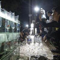 demam-ikan-cupang-satpol-pp-bubarkan-kerumunan-di-pasar-ikan-jatinegara