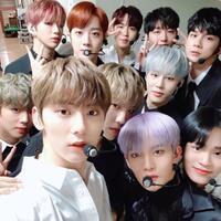 wanna-one-batal-reuni-di--mama-2020