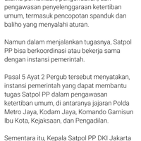 tugas-pasukan-khusus-tni-tumpas-teroris-di-papua-bukan-petamburan