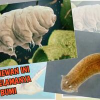 5-hewan-ini-bisa-hidup-selamanya