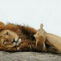 fpi-klaim-habib-rizieq-sudah-dites-swab-hasilnya-negatif