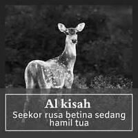 alkisah-seekor-rusa-betina