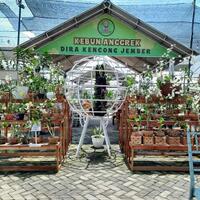 coc-regjemberwajib-dikepoin-dira-kencong-jember-hitsnya-bikin-bebas-ongkir