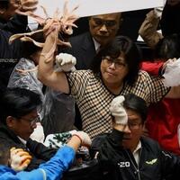 panas-anggota-dpr-taiwan-lempar-usus-dan-jeroan-babi-saat-rapat
